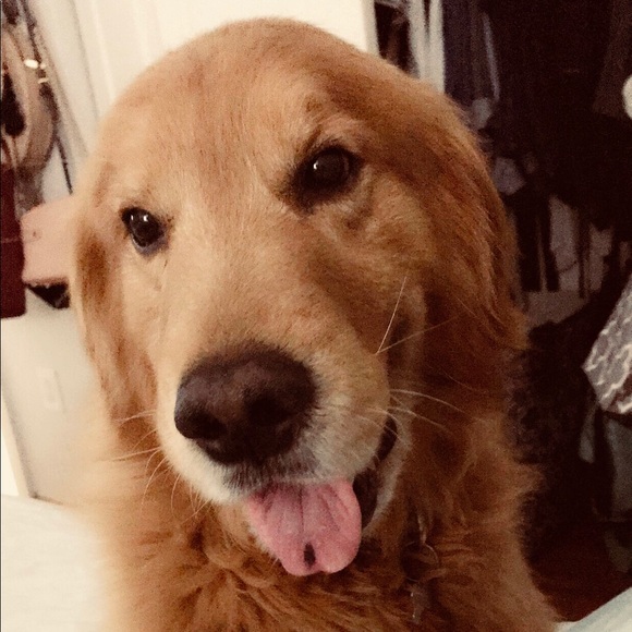 Meet your Posher, Alexandra - Picture 1 of 1